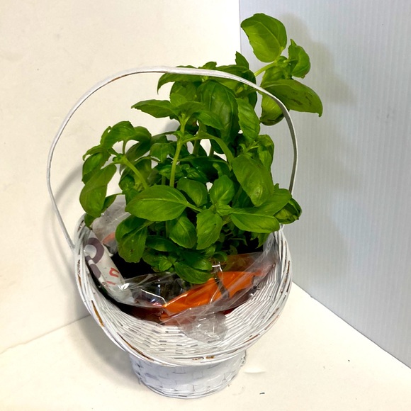 PRINCESS Farmhouse Wicker Woven Basket Flower Plant Pot Centerpiece White - Picture 6 of 9